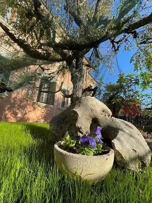 Casa Argia Villa Padova